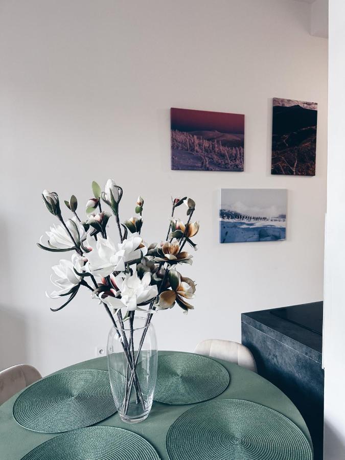 Ferienwohnung Loft Przy Placu Niepodleglosci Jelenia Góra Exterior foto